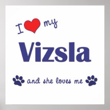 I Liebe mein Vizsla (weiblicher Hund) Plakatdruck