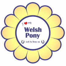 I Liebe mein Waliser-Pony (männliches Pony) Photo Statue