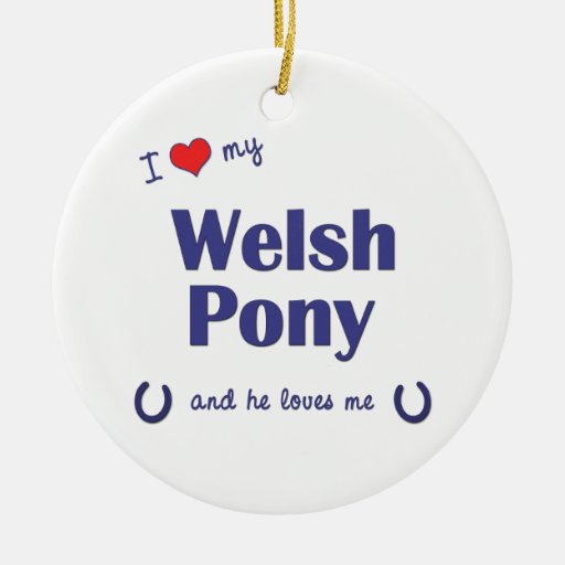 I Liebe mein Waliser-Pony (männliches Pony) Weihnachtsornament