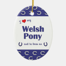 I Liebe mein Waliser-Pony (männliches Pony) Weihnachtsbaum Ornament