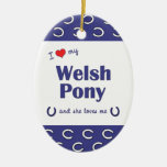 I Liebe mein Waliser-Pony (weibliches Pony) Weihnachtsornament