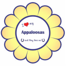 I Liebe meine Appaloosas (mehrfache Pferde) Acrylausschnitt