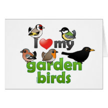 I Liebe meine Garten-Vögel Karten