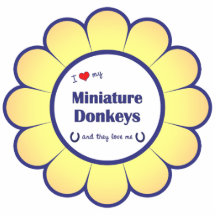 I Liebe meine Miniaturesel (mehrfache Esel) Photostatuen