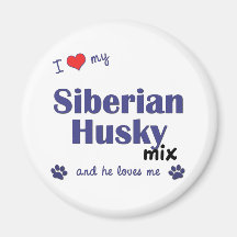 I Liebe meine sibirischer Schlittenhund-Mischung ( Magnete