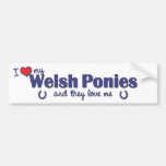 I Liebe meine Waliser-Ponys (mehrfache Ponys) Autoaufkleber