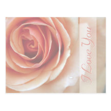 I Liebe Sie romantische Pfirsich-Rose Postkarte
