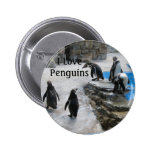 I LiebePenguins Anstecknadelbuttons