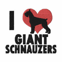 I Liebestickten riesige Schnauzers lange Hülse