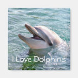 I Love Dolphins Magnet