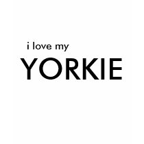 I meine Liebe, YORKIE