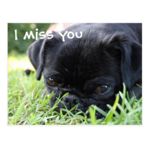 I miss you postkarten