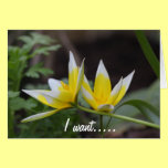 i want you karten