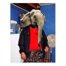 Ich bin alle Ohren Postkarte