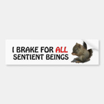 ICH BREMSE FÜR ALLE SENTIENT WESEN (Baby-Eichhörnc Autosticker
