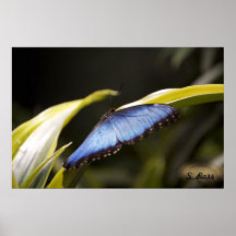 Ich fliege wegdruck plakat