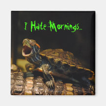 "Ich hasse Morgen-" Schildkröte-Magnet Magnete