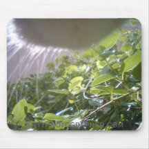 Ich kann Eatz dieses? mousepad