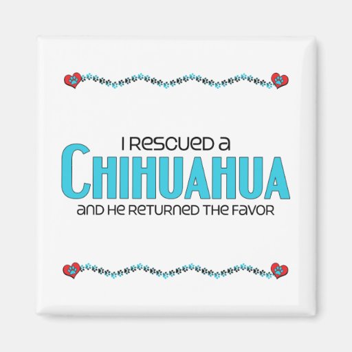 Ich rettete Chihuahua (männlichen Hund) Magnete
