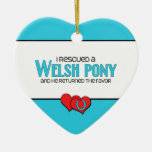 Ich rettete ein Waliser-Pony (männliches Pony) Ornament