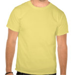 Ich schaukele shirts