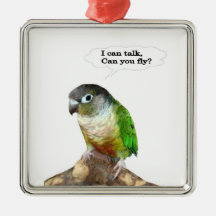 Ich sprechen, können können Sie fliegen? Weihnachtsornament