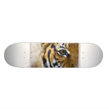 Ich überlebte den 80er Skateboard Skateboard Bretter