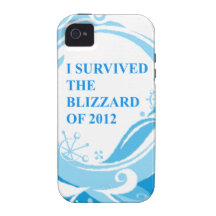Ich überlebte den Blizzard von 2012 Vibe iPhone 4 Hüllen
