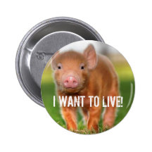 ICH WILL, UM ZU LEBEN! BUTTONS