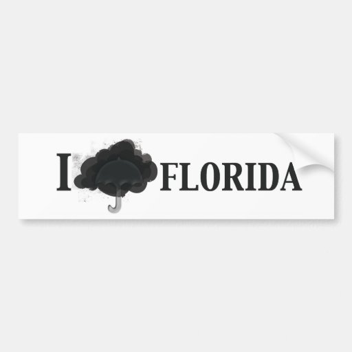 icloudFlorida.jpg Auto Sticker