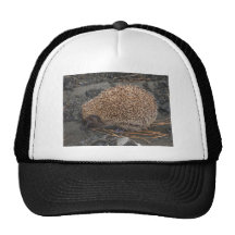Igel auf kleinen schwarzen Felsen Baseball Cap