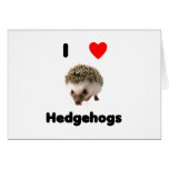 Igel der Liebe I Grußkarten