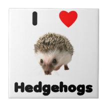Igel der Liebe I Keramikfliesen