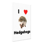 Igel der Liebe I Leinwand Drucke