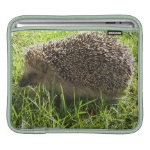 Igel iPad Hülse Sleeves Für iPads