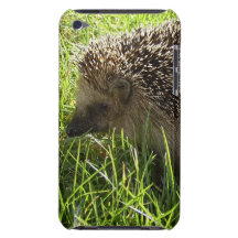 Igel iTouch Fall iPod Touch Hülle