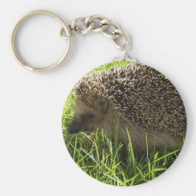 Igel Keychain Schlüsselanhänger