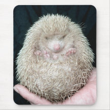Igel Mauspad