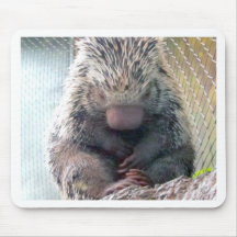 Igel Mousepads