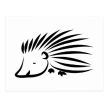 Igel Postkarten