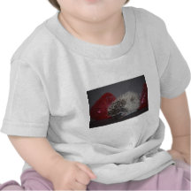 Igels-Baby mit Osterei Shirt