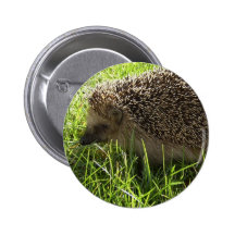 Igels-Knopf Buttons
