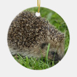 Igels-Verzierung Weihnachtsbaum Ornament