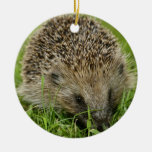 Igels-Verzierung Weihnachtsornament
