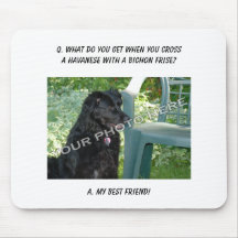 Ihr Foto hier! Meine bester Freund Havanese Mischu Mousepads