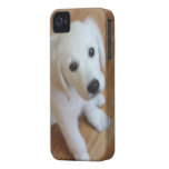 Ihr Lieblingshaustierfoto auf einem Fall iphone4 iPhone 4 Case-Mate Hülle
