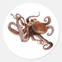 Iker die Krake Sticker