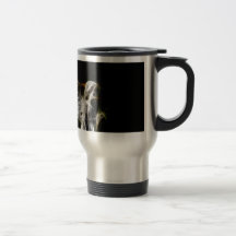 IMG_0051.jpg Kaffee Tasse
