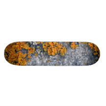 IMG_1742 INDIVIDUELLES SKATEBOARD