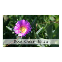 Imker, Honig-Bienen-Verkäufe - Visitenkarte